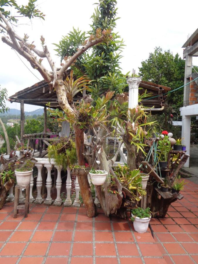 Hostal Loco Locombia San Agustín Zewnętrze zdjęcie